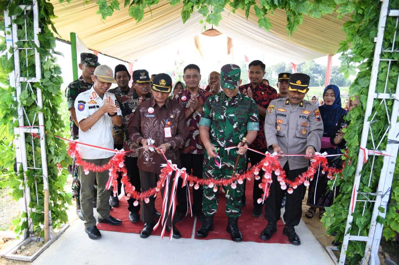 WhatsApp Image 2025 08 07 at 132929